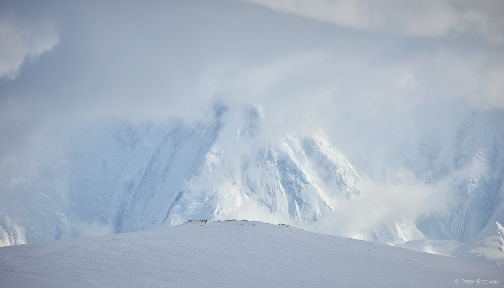 PhaseOne XF 100MP, phaseone xf , Peter Eastway, medium-format camera, snowy mountain